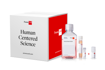 Cell KIT - Airway Epithelial Cells