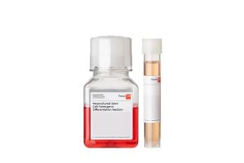 Mesenchymal Stem Cell Osteogenic Differentiation Medium