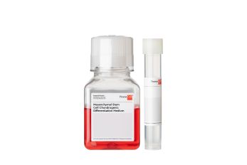 Mesenchymal Stem Cell Chondrogenic Differentiation Medium