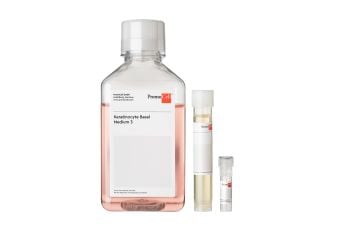 Keratinocyte Growth Medium 3