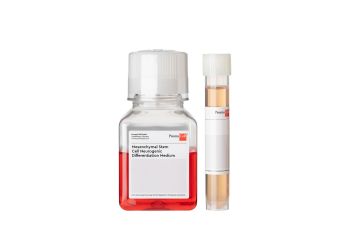 Mesenchymal Stem Cell Neurogenic Differentiation Medium