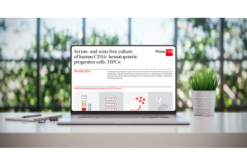Serum- and xeno-free culture of human CD34+ hematopoietic progenitor cells (HPCs)