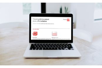 Visual guide to cancer stem cell isolation