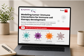 Modeling tumor-immune interactions for immune cell therapy development