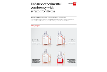 Enhance experimental consistency with serum-free media