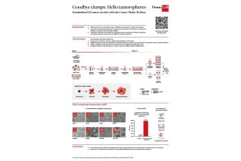 3D tumorsphere cell culture model