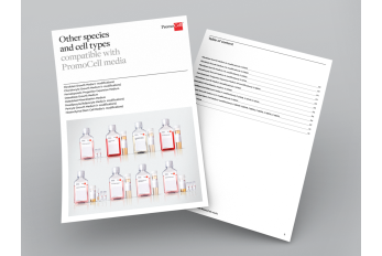 Other species and cell types compatible with PromoCell adult stem & stromal cells media