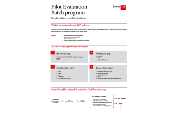 Pilot Evaluation Batch program