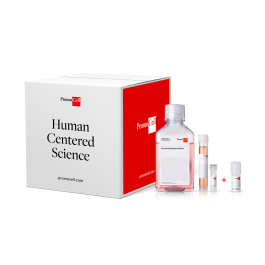 Cell KIT - Fibroblasts | PromoCell