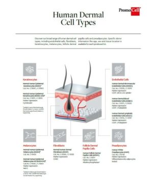 related-reference-product-1278