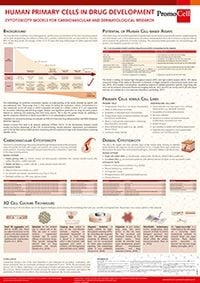 Human primary cells in drug development product image