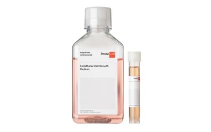 PromoCell Endothelial Cell Growth Medium (Ready-to-use) product image