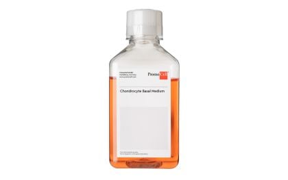 PromoCell Chondrocyte Basal Medium product image
