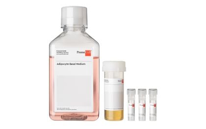 PromoCell Adipocyte Nutrition Medium Kit product image