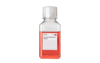 PromoCell Monocyte Attachment Medium product image