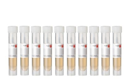 PromoCell Bovine Pituitary Extract (BPE), 7.5 mg protein/ml, 10 x 2 ml product image