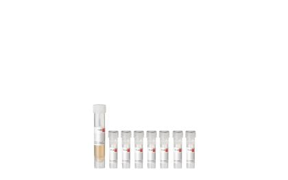 PromoCell Airway Epithelial Cell Growth Medium SupplementPack product image