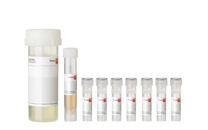 PromoCell Small Airway Epithelial Cell Growth Medium SupplementPack product image