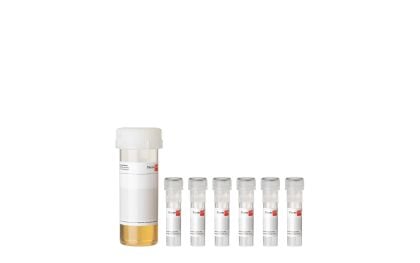 PromoCell Renal Epithelial Cell Growth Medium 2 SupplementPack product image