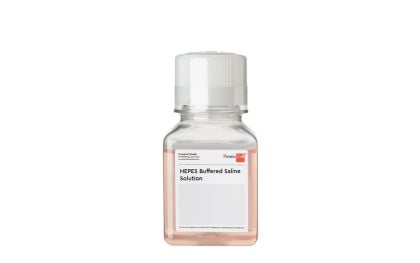 PromoCell HEPES Buffered Saline Solution, 125 ml product image
