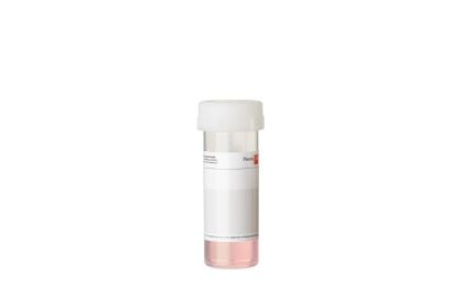 PromoCell Trypsin / EDTA (0.04% / 0.03%), 30 ml product image