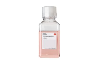 PromoCell Trypsin Neutralizing Solution - 250 ml product image
