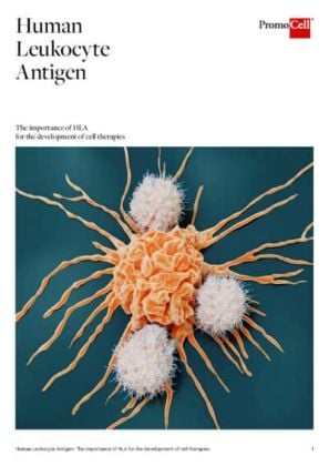 The importance of HLA for the development of cell therapies product image