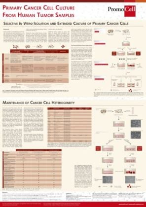 Primary cancer cell culture from human tumor samples product image