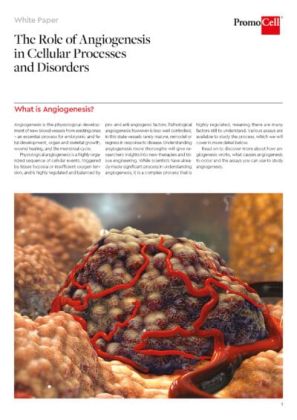 The role of angiogenesis in cellular processes and disorders product image