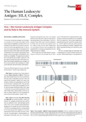 The human leukocyte antigen (HLA) complex product image