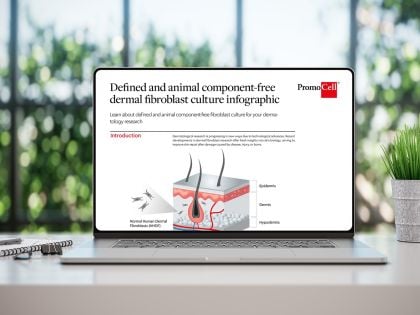 Defined and animal component-free dermal fibroblast culture product image