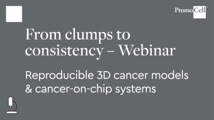 From clumps to consistency: Advancing reproducible 3D cancer models product image