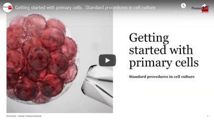 Getting started with primary cells – Standard procedures in cell culture product image