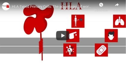 HLA-Typed Primary Cells: The advantages of working with HLA in drug development research product image