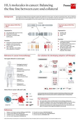 HLA molecules in cancer: Balancing the fine line between cure and collateral product image