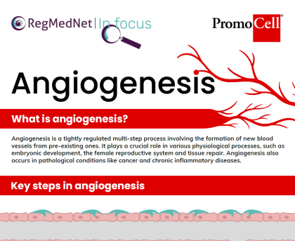 Understanding angiogenesis assays product image