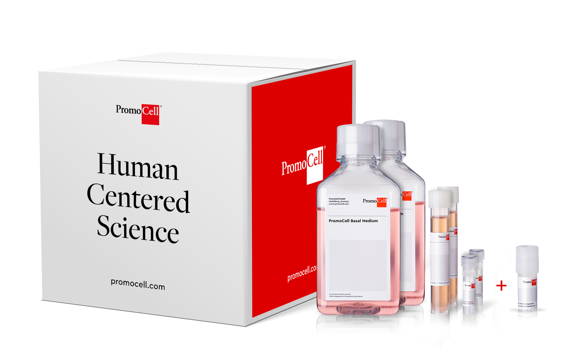 Cell KIT - Endothelial Cells HUVEC 2 single donor Plus product image