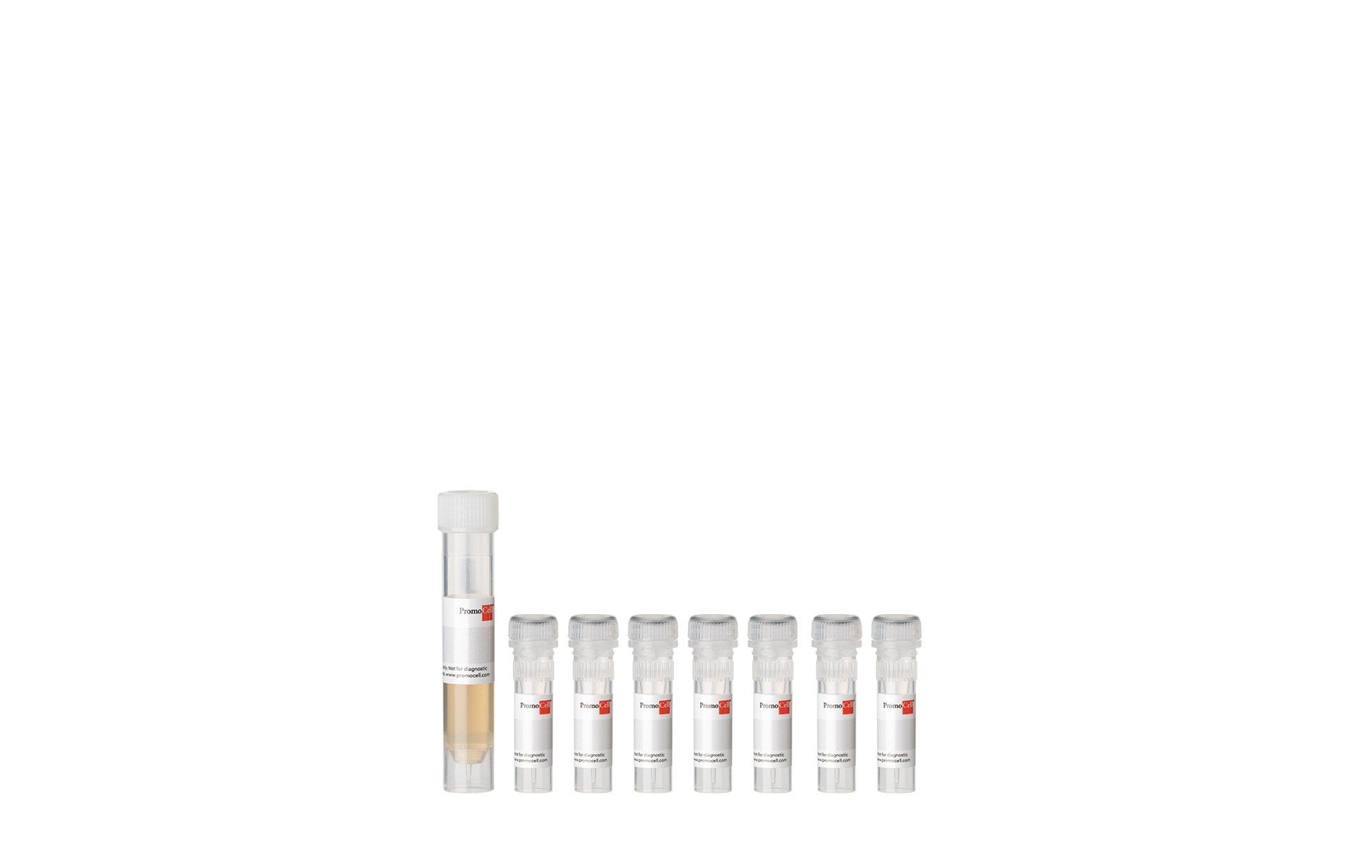 PromoCell Airway Epithelial Cell Growth Medium SupplementPack product image