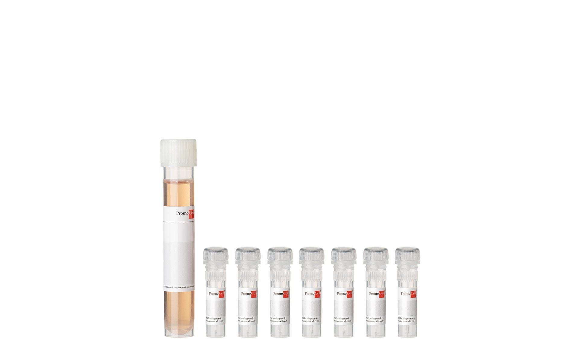 PromoCell Endothelial Cell Growth Medium 2 SupplementPack product image