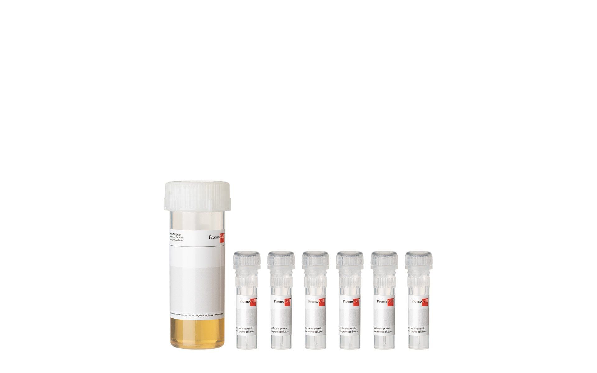 PromoCell Renal Epithelial Cell Growth Medium 2 SupplementPack product image