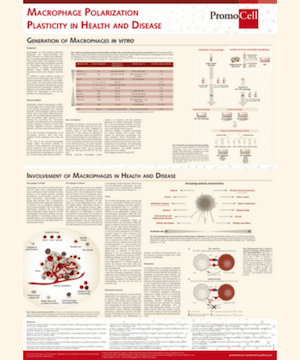 Macrophage polarization: plasticity in health and disease product image