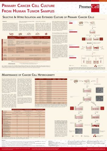 Primary cancer cell culture from human tumor samples product image