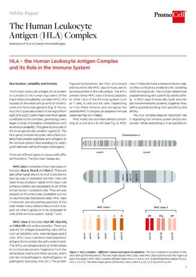 The human leukocyte antigen (HLA) complex product image