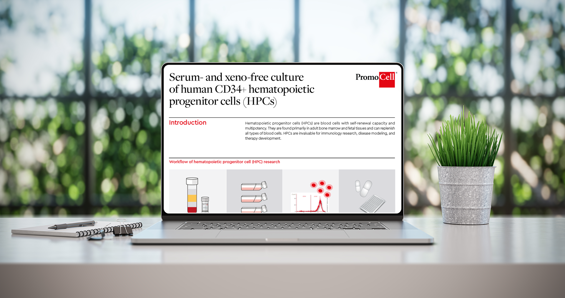 Serum- and xeno-free culture of human CD34+ hematopoietic progenitor cells (HPCs) product image