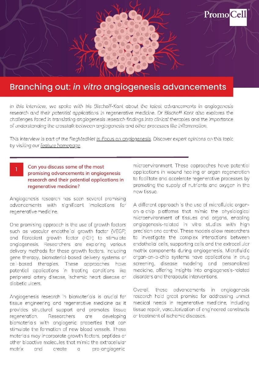 In vitro angiogenesis advancements - expert interview product image