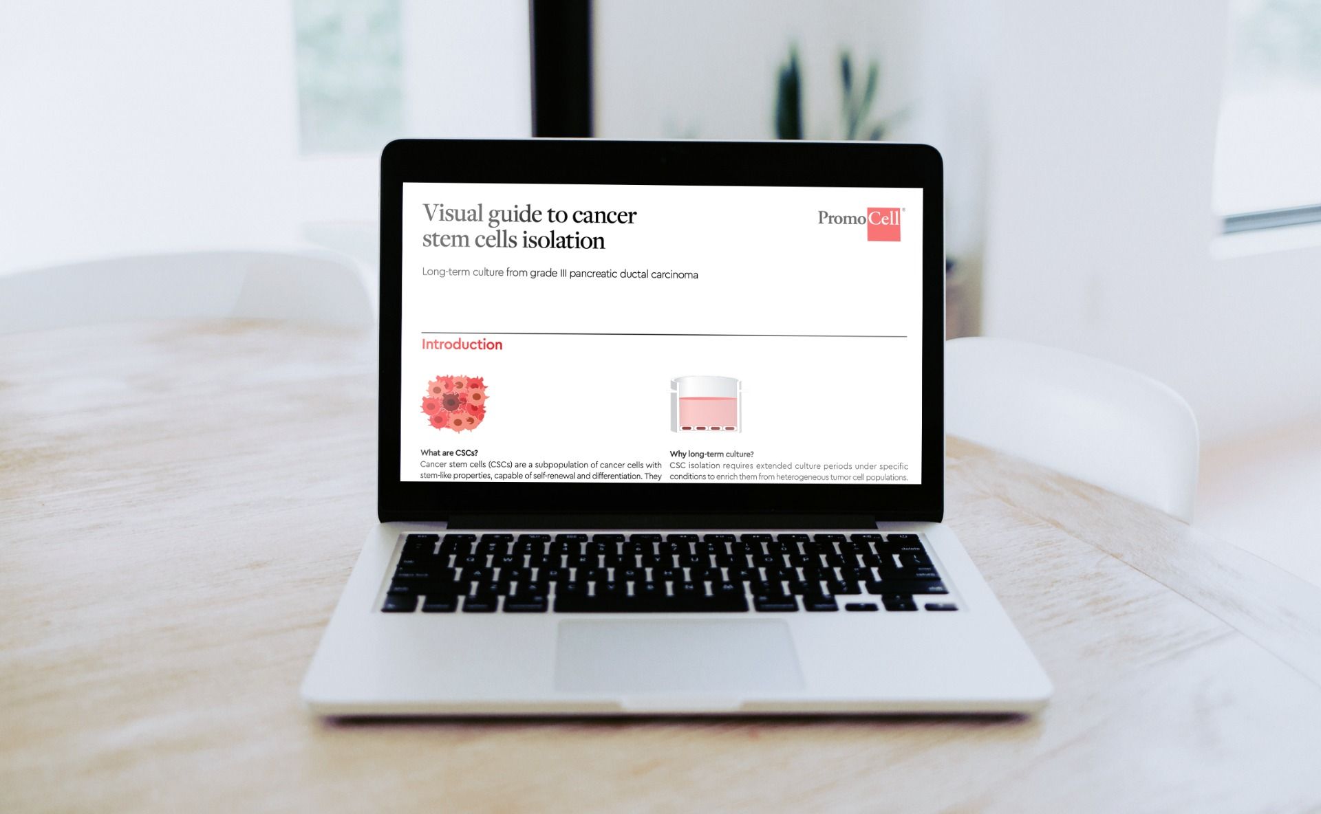 Visual guide to cancer stem cell isolation product image