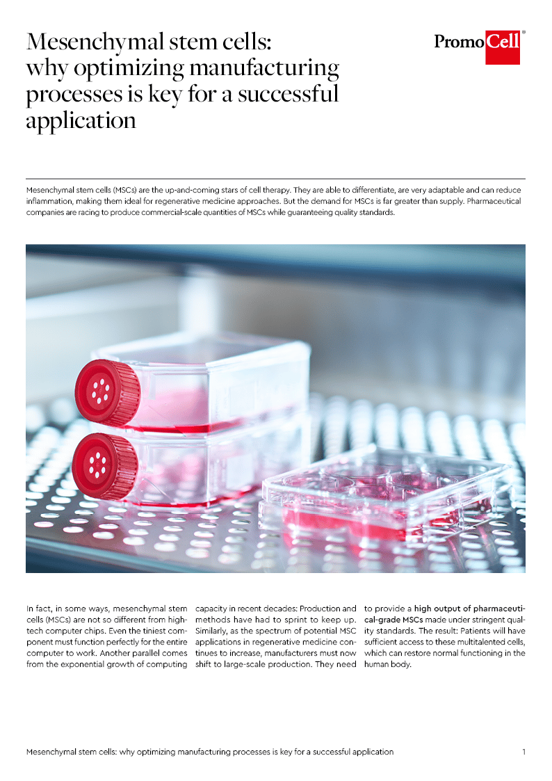 Mesenchymal stem cells: why optimizing manufacturing processes is key for a successful application product image