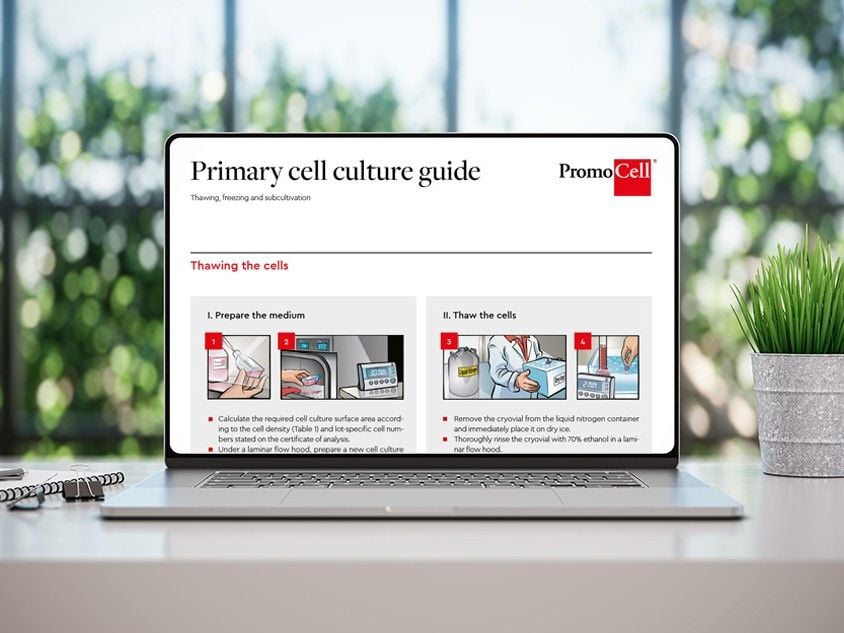 Primary cell culture guide: Thawing, freezing, and subcultivation product image