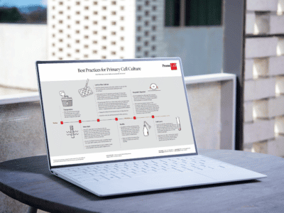 Best practices for primary cell culture product image