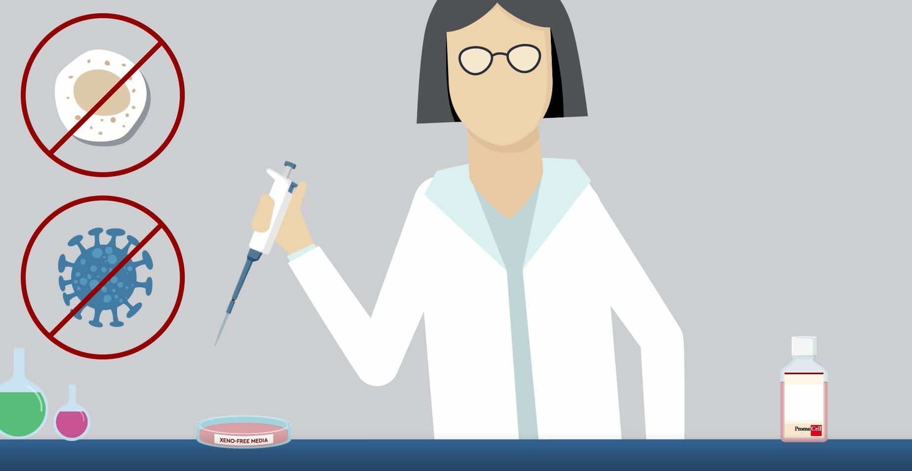 MSC reproducibility: Towards the standardization of Mesenchymal Stem Cells product image